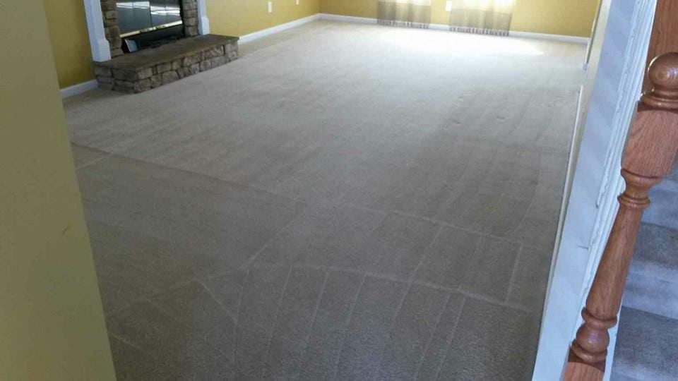 Carpet Cleaning Service carpet cleaning service
