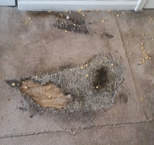 Carpet Burn carpet burn