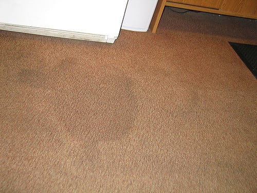 Carpet Stain carpet stain